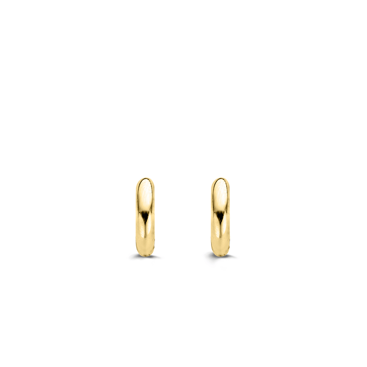 Ti Sento - Milano Earrings 7210SY