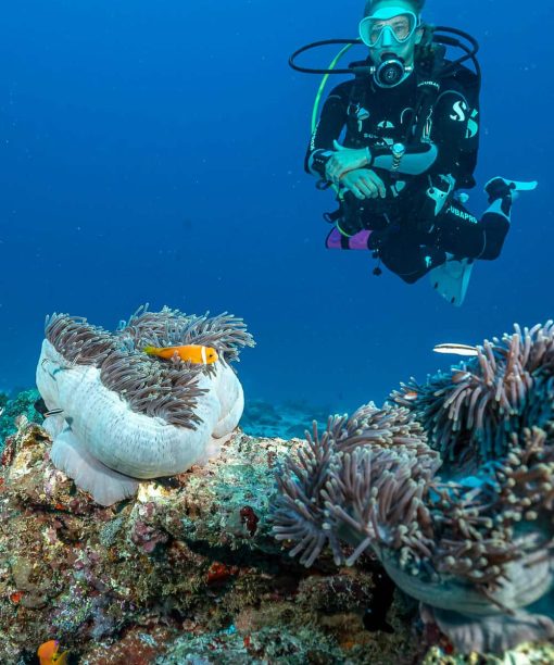 Mollstedt Ur - Mollstedt Ur