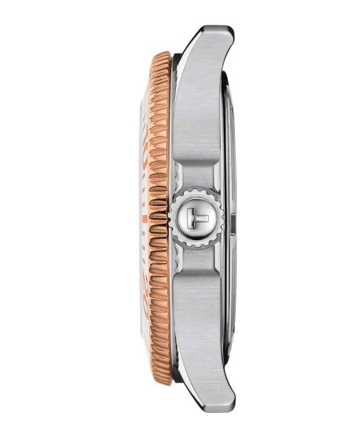 Mollstedt Ur - Mollstedt Ur