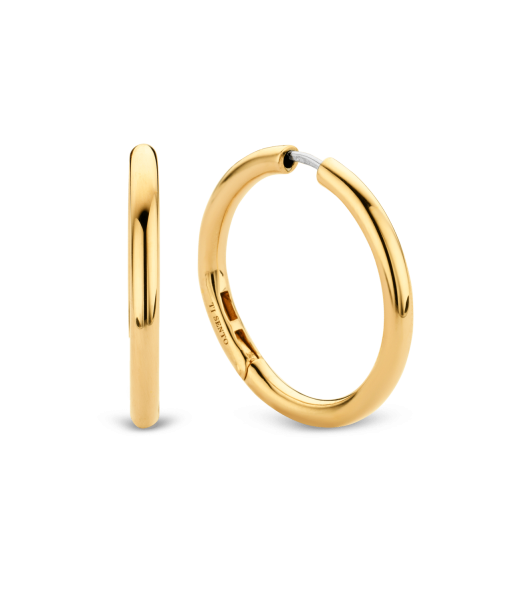 Ti Sento - Milano Earrings 7782SY