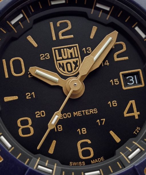 Mollstedt Ur - Mollstedt Ur